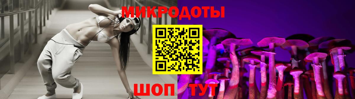 Ефремов  Галлюциногенные грибы MAGIC MUSHROOMS  Вход с VPN 